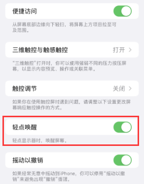 魏都苹果授权维修站分享iPhone轻点无法唤醒怎么办 