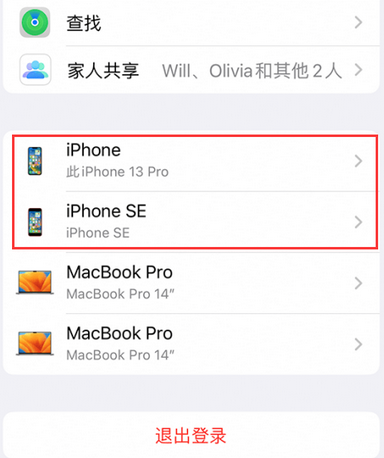 魏都苹魏都果维修网点分享iPhone如何查询序列号