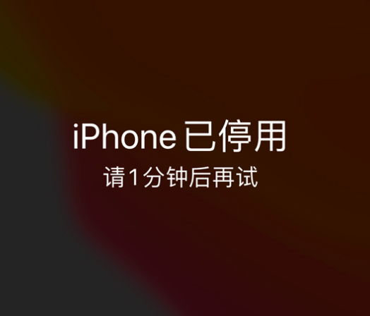 魏都苹果手机维修分享:iPhone 显示“不可用”或“已停用”怎么办？还能保留数据吗？ 