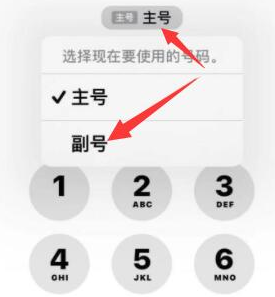 魏都苹果14维修店分享iPhone 14 Pro Max使用副卡打电话的方法 