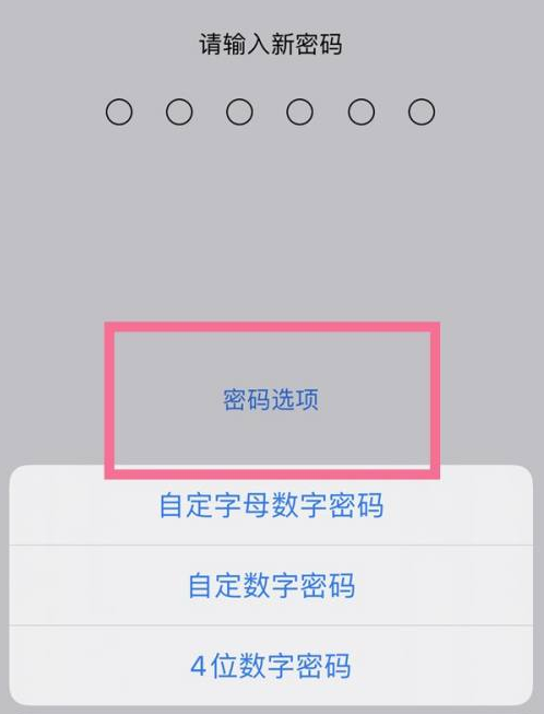 魏都苹果14维修分享iPhone 14plus设置密码的方法 