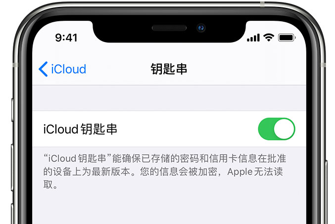 魏都苹果手机维修分享在 iPhone 上开启 iCloud 钥匙串之后会储存哪些信息 