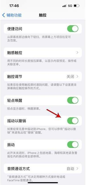 魏都苹果手机维修分享iPhone手机如何设置摇一摇删除文字 