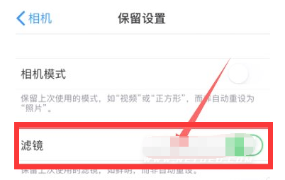 魏都苹果13维修分享iPhone13拍照有绿点是怎么回事 