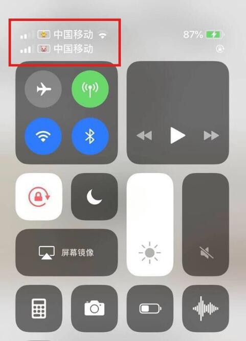 魏都苹果手机维修分享为 iPhone 12 双卡设置标签 