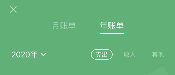 魏都苹果手机维修分享如何在 iPhone 上查看支付宝和微信年支出账单 