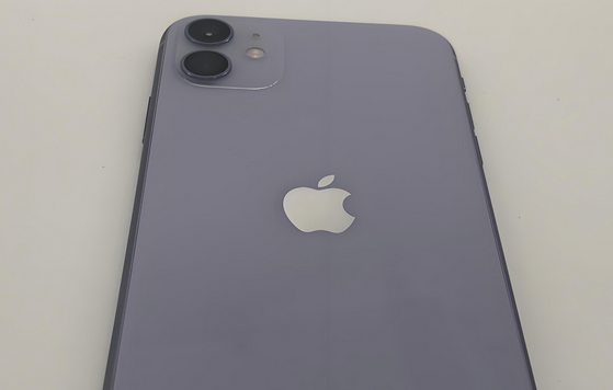 魏都苹果11系统维修分享iPhone11手机系统崩溃无法开机如何解决